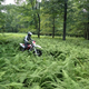 Illustration for article titled Come Help Us Maintain The Trails, You Dual Sport Riding A-Holes